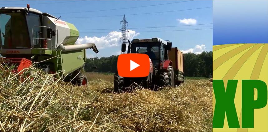 plan fertilisation agronome